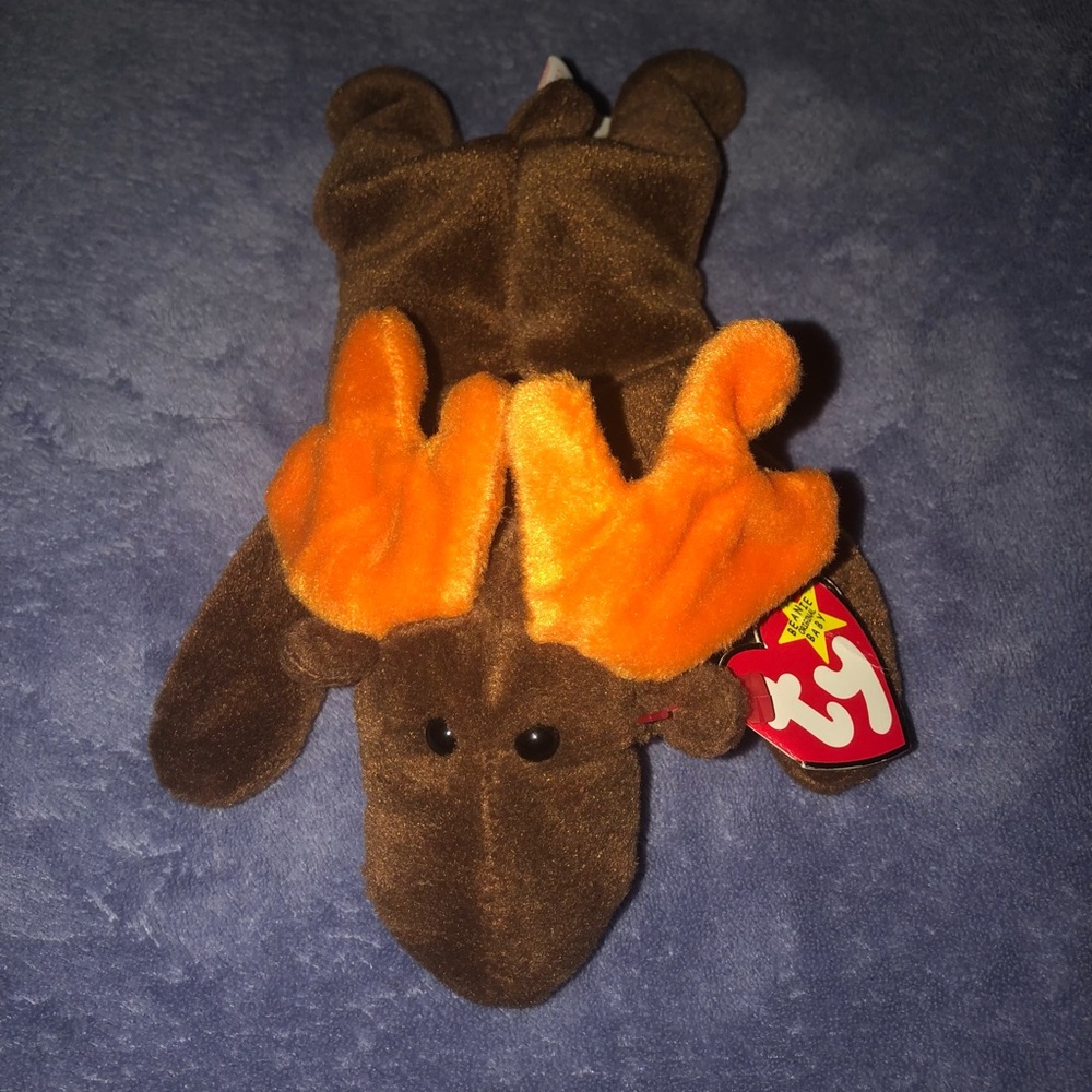 Beanie Baby “Chocolate” Moose - Picture 1 of 5